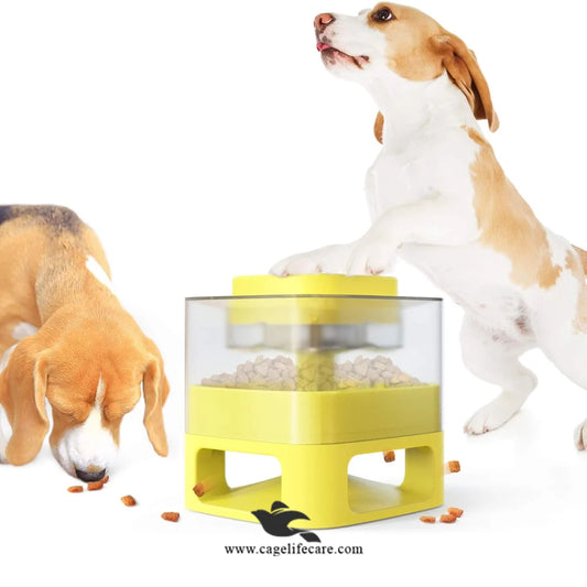 Dog and Cat Treat Catapult