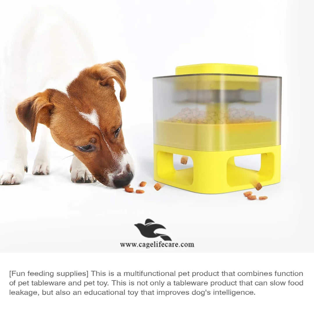 IQ Training Pet Toy