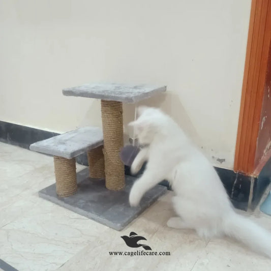 Triple Pole Cat Scratcher with 2 Sits & Play Ball – 46cm Height