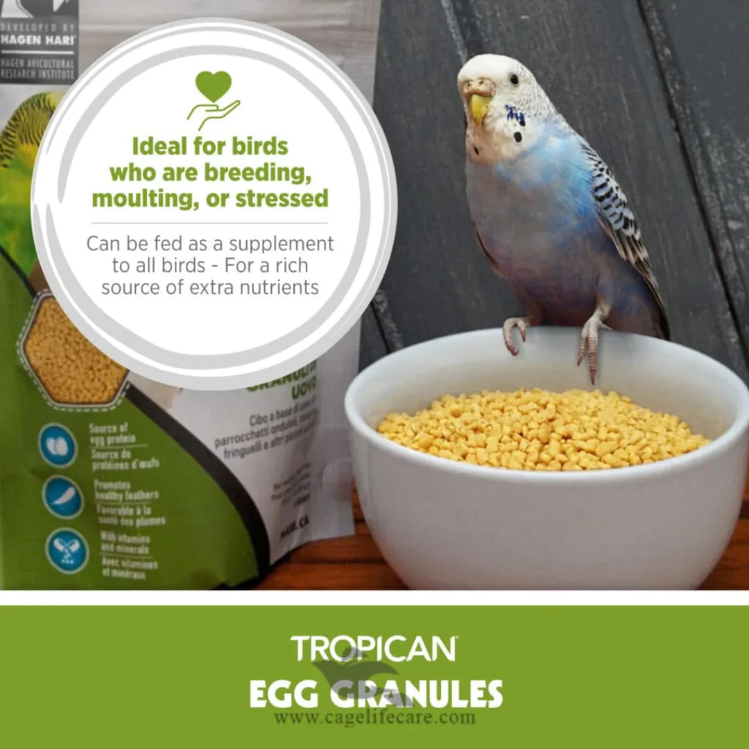 Tropican Egg Granules Protein – Premium Egg Food for Small Birds 500g Bag and Loose packing