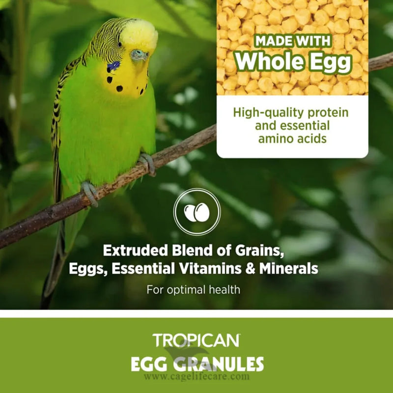 Tropican Egg Granules Protein – Premium Egg Food for Small Birds