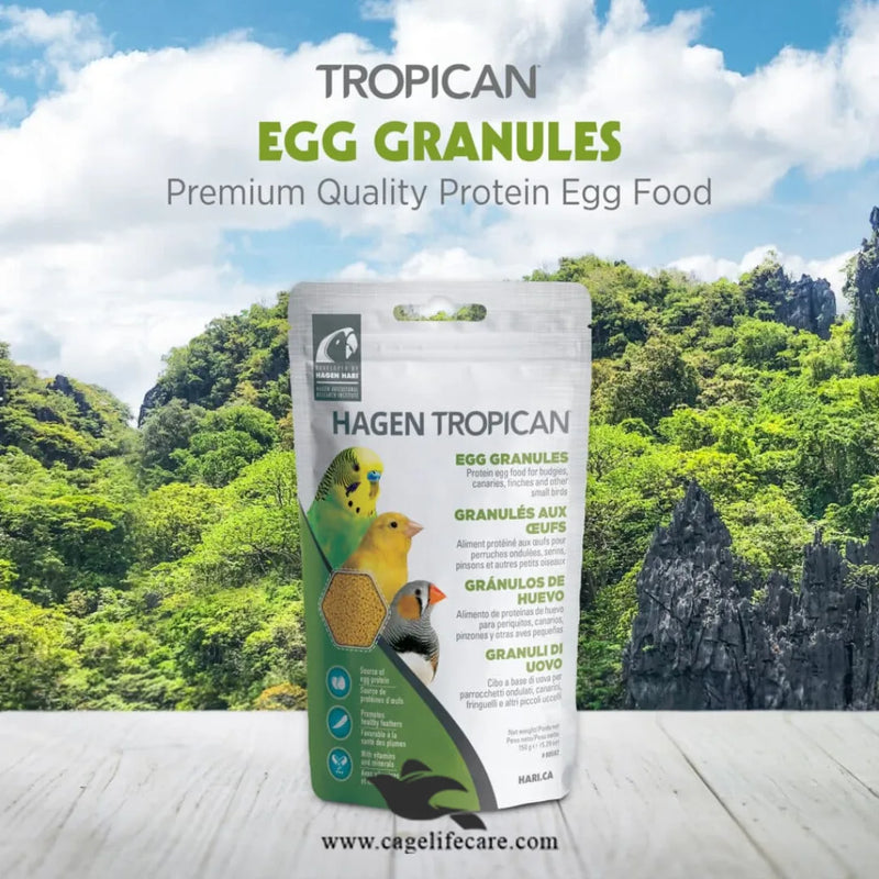 Tropican Egg Granules Protein – Premium Egg Food for Small Birds