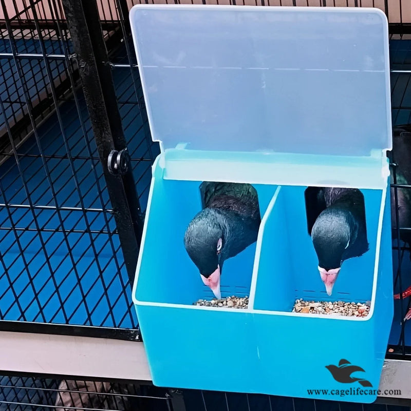 Two Hole Feeder – Designed for Feeding Pigeons & Hens