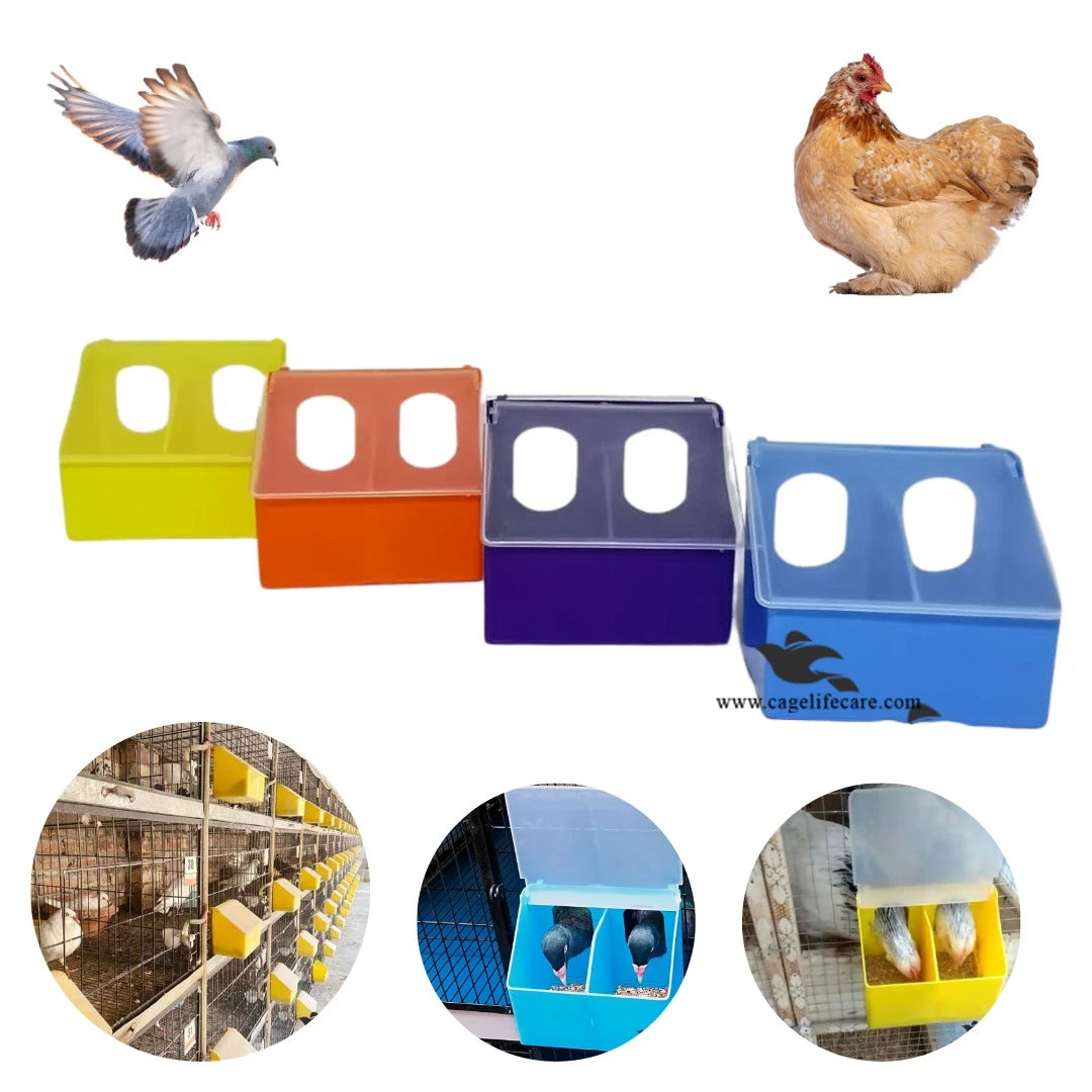 Two Hole Feeder – Designed for Feeding Pigeons & Hens
