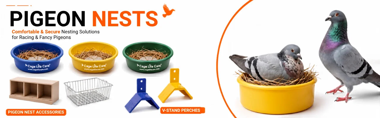 Pigeon Breeding & Nest Accessories