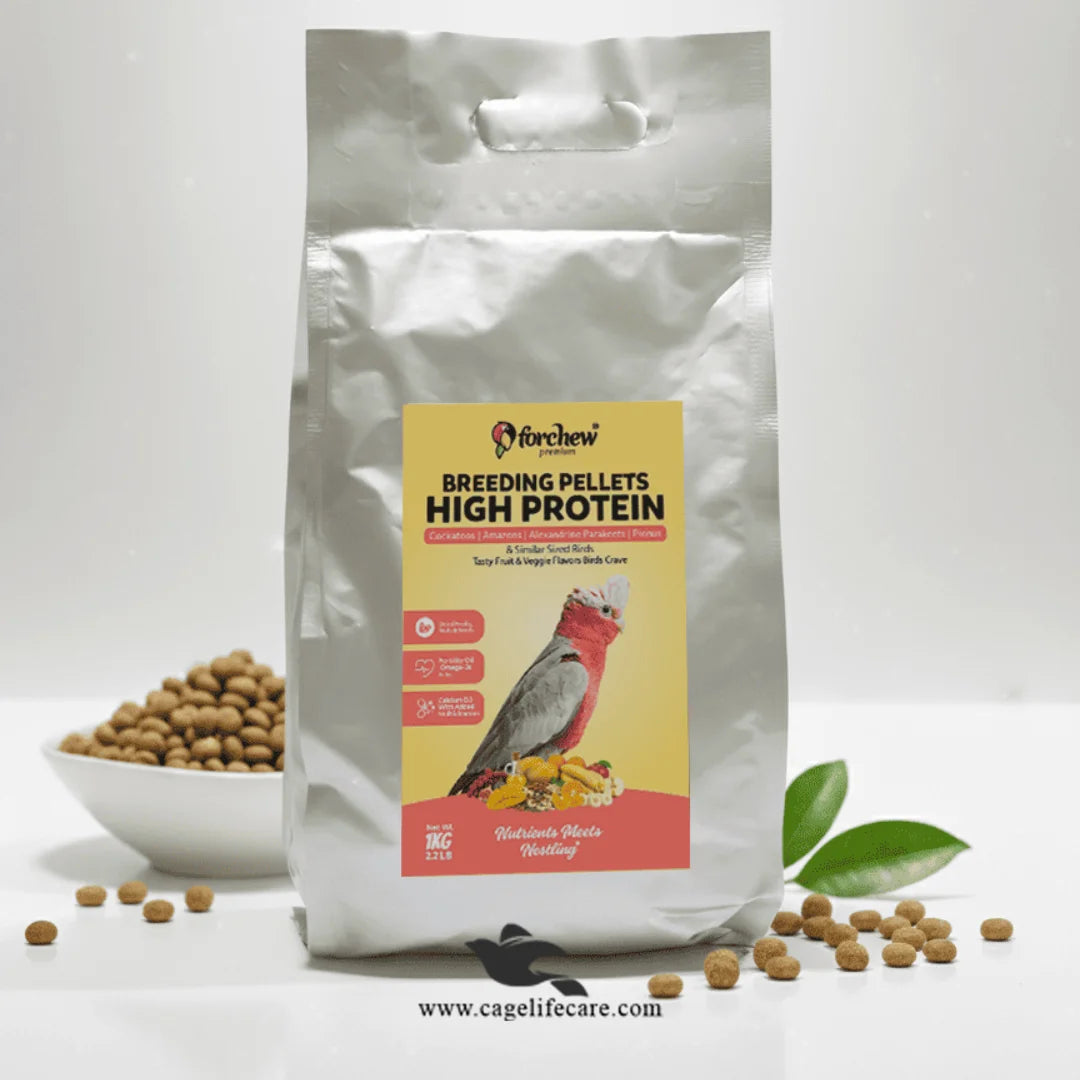 Cockatoo Amazon Alexandrine Pionus Breeding Feed