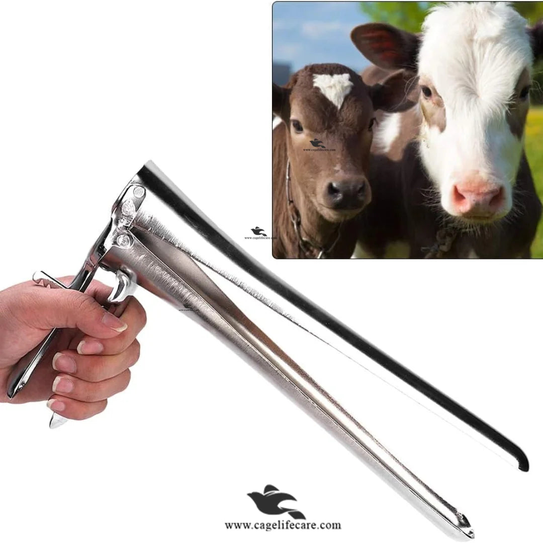 Cow Rectal Examination Speculum Cage Life Care