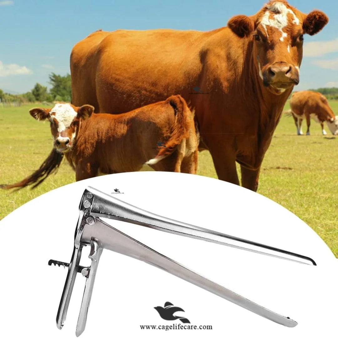 Livestock Artificial Insemination Speculum