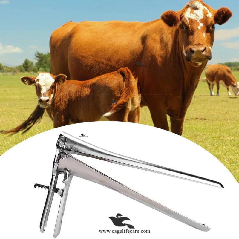 Vaginal Rectal Speculum – Stainless Steel Veterinary Instrument for Livestock
