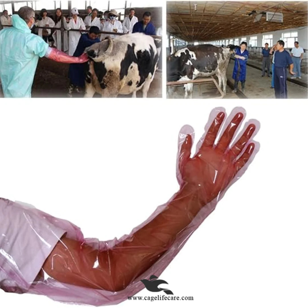 Vet Disposable Arm Length Gloves 95cm for Livestock in Pakistan