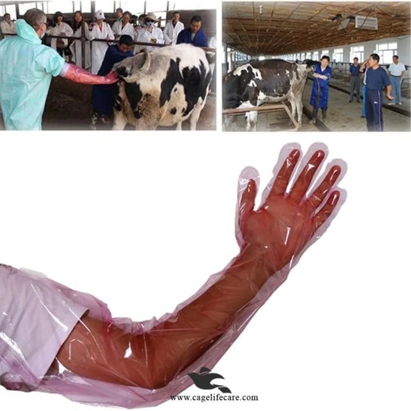 Vet Disposable Arm Length Gloves – Waterproof for Livestock & Animals