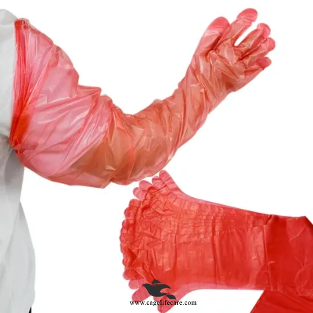 Disposable Polythene Veterinary Gloves for Animal Handling