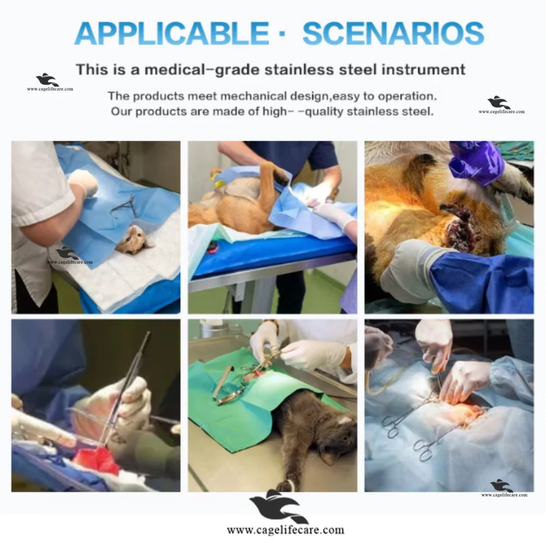 Veterinary Statutory Instruments Veterinary Surgical Kit – Complete Stainless Steel Instruments for Liv ...