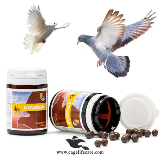 Vitaboli – Enhance Speed, Endurance & Health of Pigeons