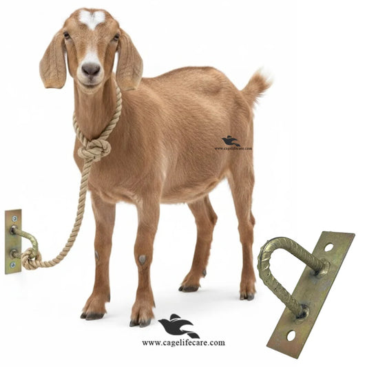 Farm livestock tie hook 4x2 inch