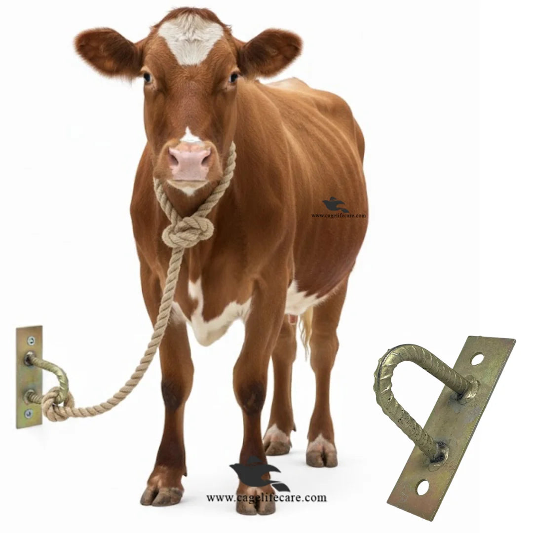 Heavy-duty metal iron hook for goats, sheep, and calves