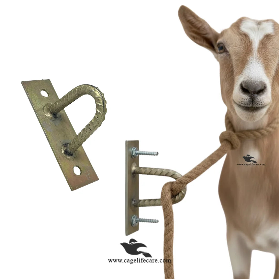 Wall mounted hook for all sizes of livestock