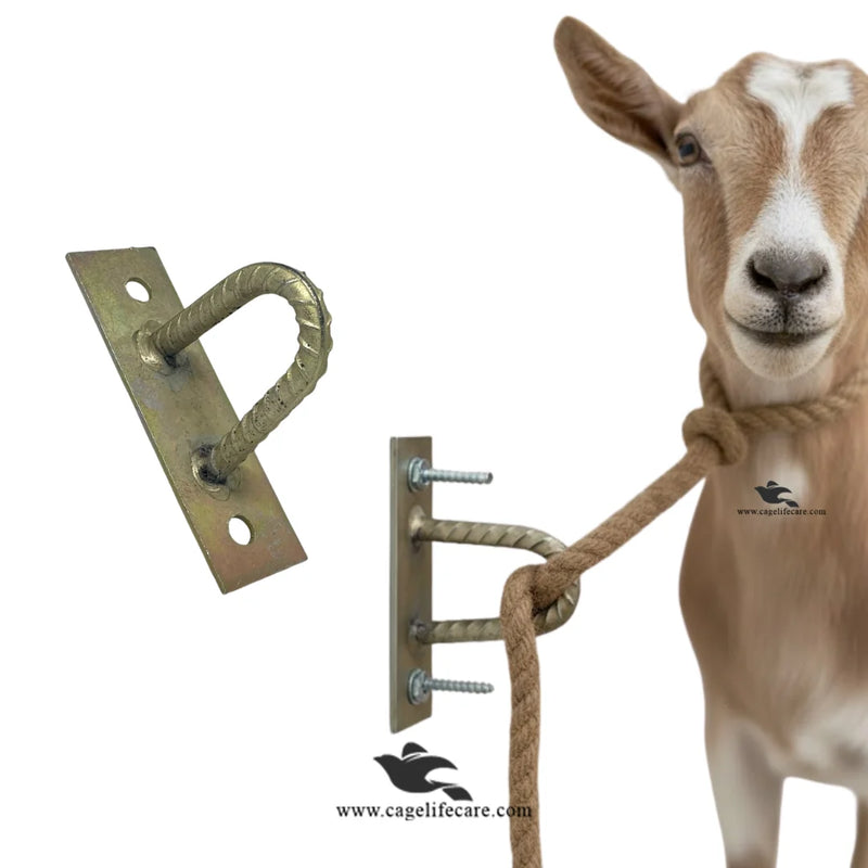 Wall Mounted Hook for Livestock – Heavy-Duty Metal Iron