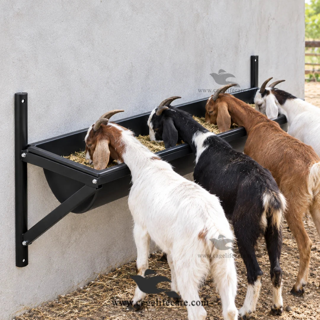 Heavy duty iron livestock feeding frame with multiple buckets