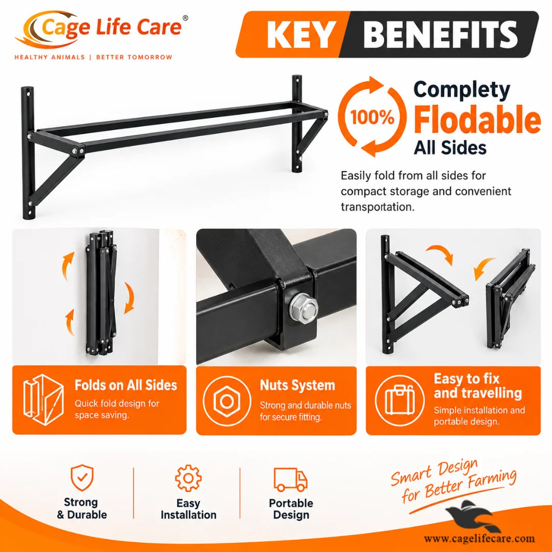 Black iron feeding tray holder for goat and sheep farms