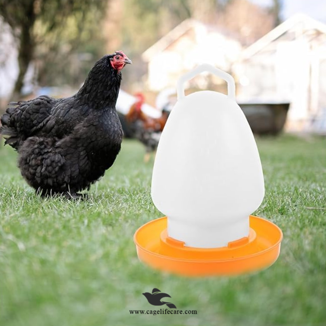 Water Drinker ( Hanging or Ground ) For Poultry & Pigeons