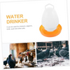 Water Drinker ( Hanging or Ground ) For Poultry & Pigeons