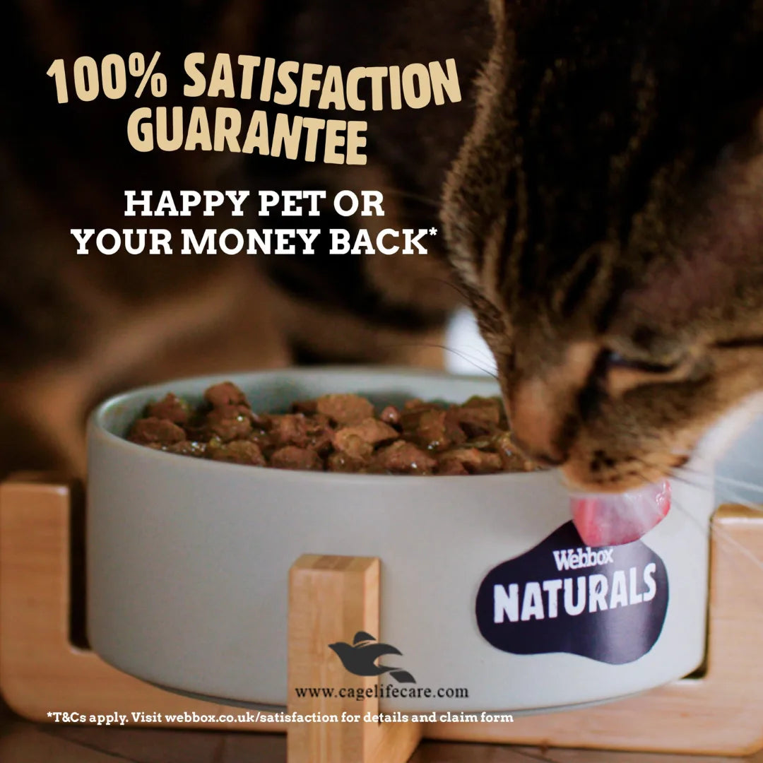 Webbox Naturals Wet Cat Food Pouches – 100g Gravy & Jelly Recipes