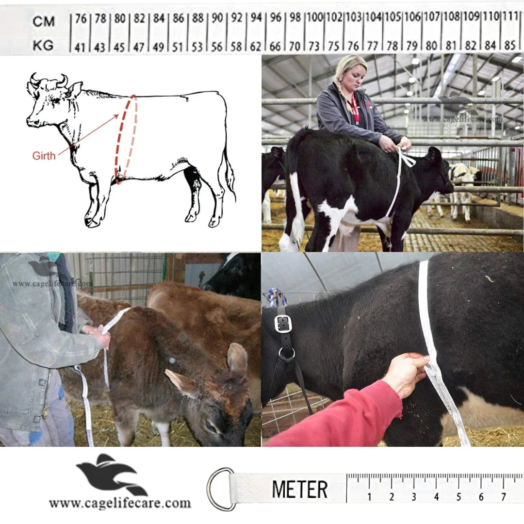 Weight Measuring Tape For Livestock Body Weight no weight machince need