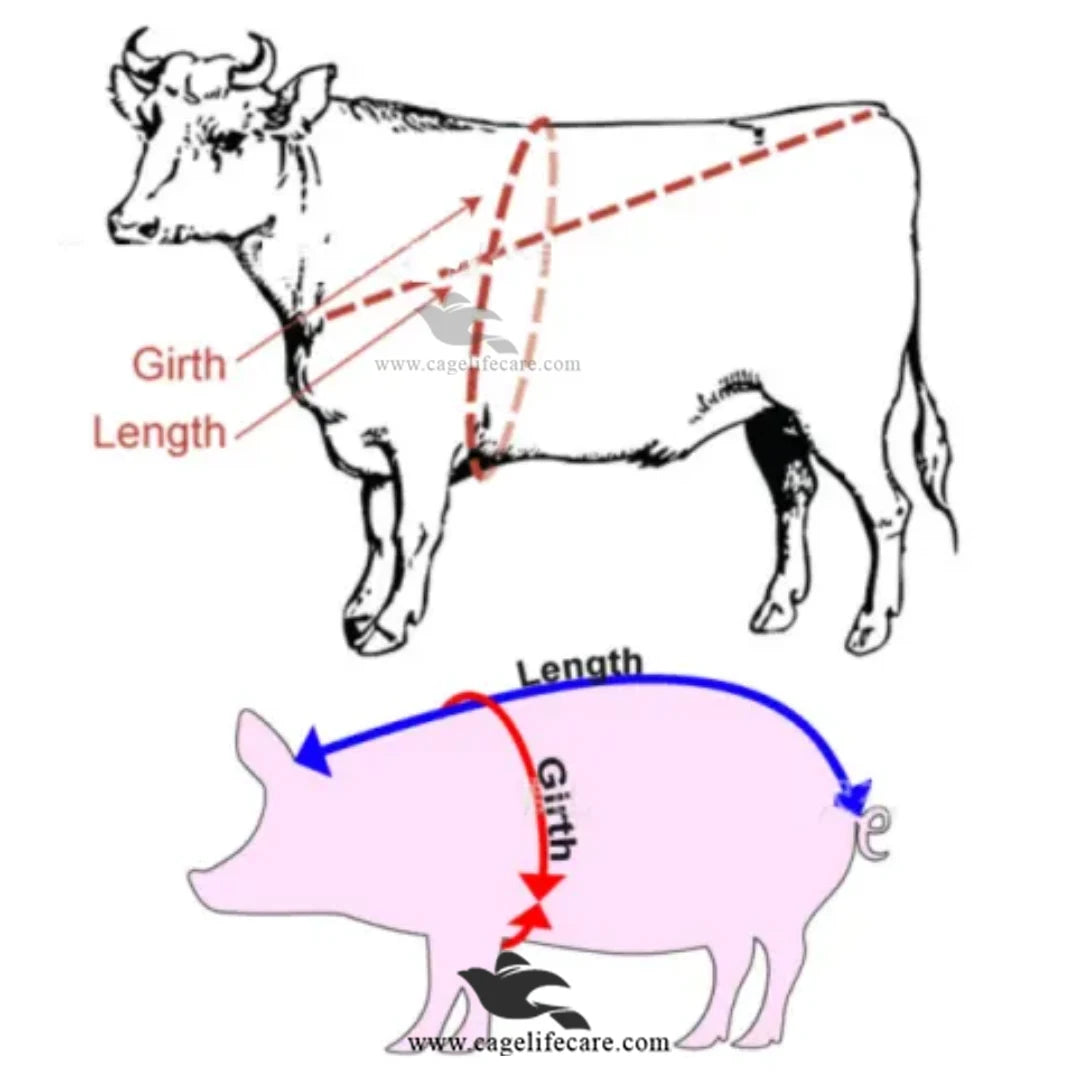 Weight Measuring Tape For Livestock Body Weight