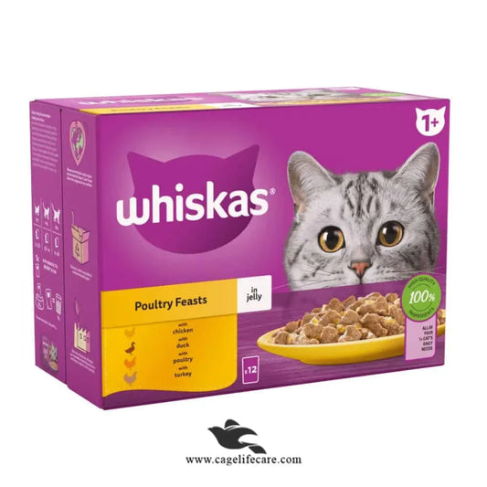 Whiskas Jelly Cat Food – 1+ Adult Cats | 85g Pouch