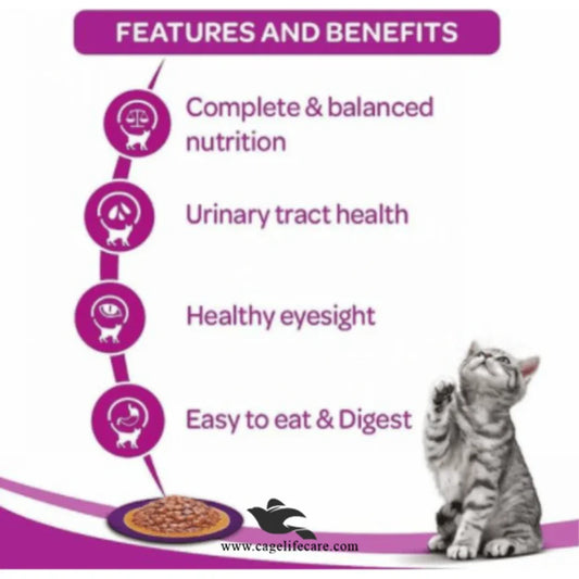 Whiskas Jelly Cat Food – 1+ Adult Cats | 85g Pouch