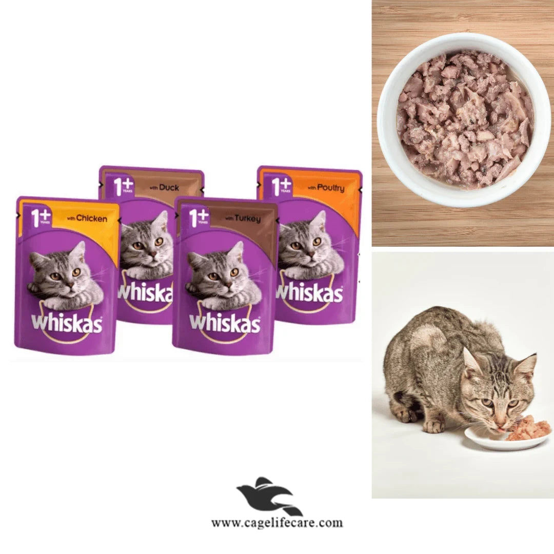 Whiskas Jelly Cat Food – 1+ Adult Cats | 85g Pouch