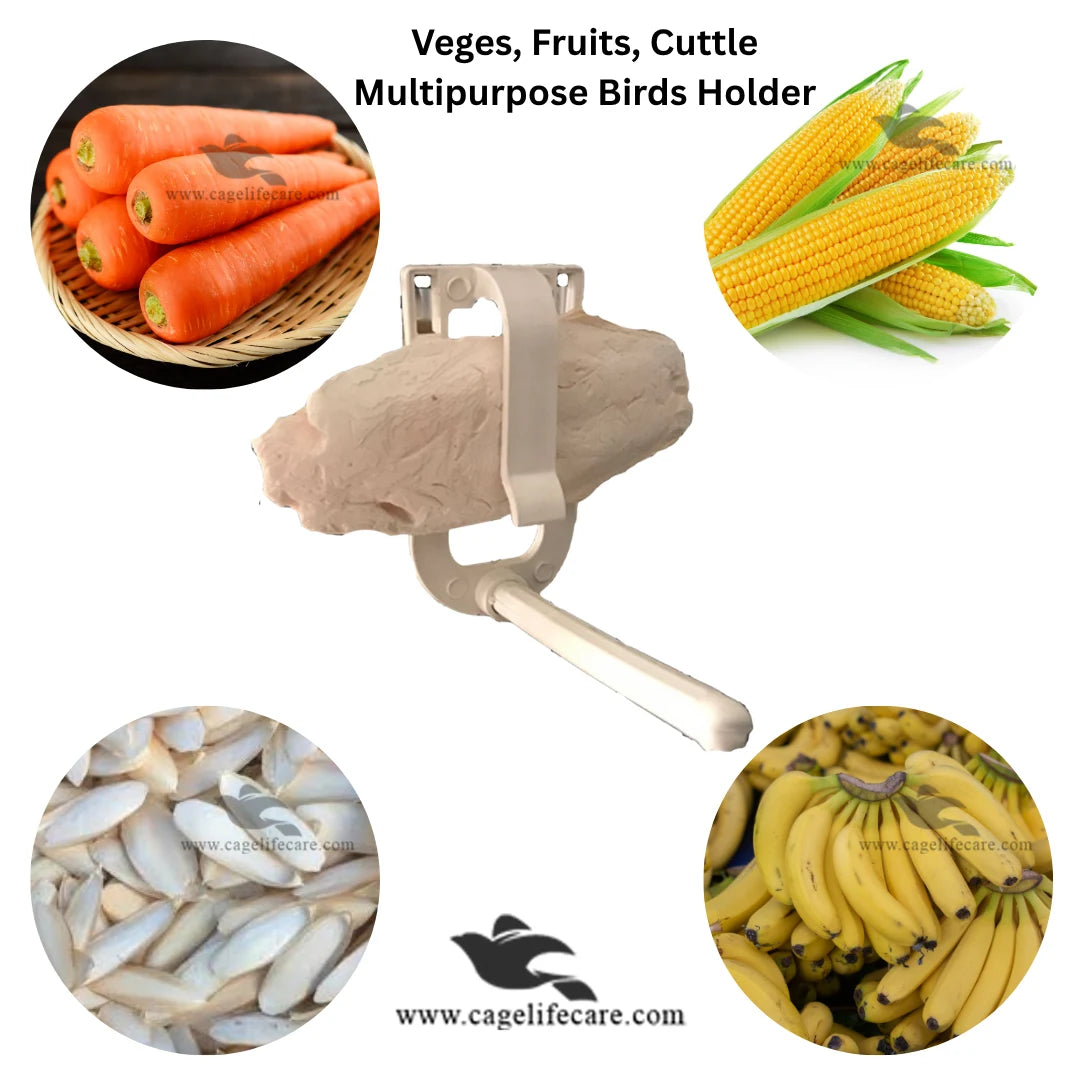 White Cuttlefish Bone Holder with Perch For Parrots, Finches & Small Birds