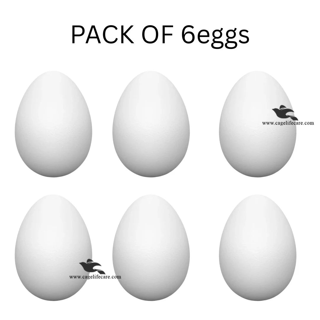 White Dummy Eggs for Hens, Chickens & Ground Birds pack of 6 eggs