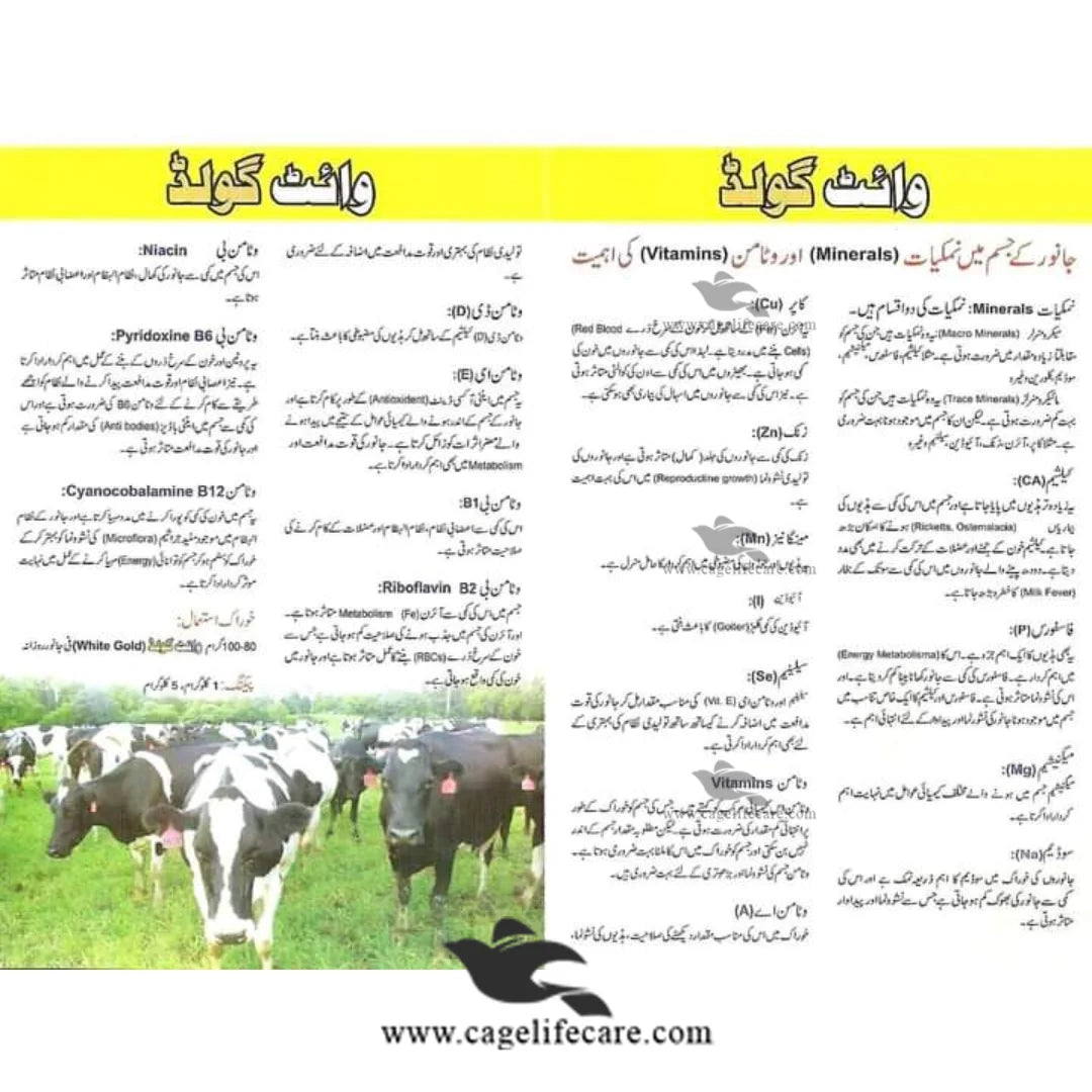 Livestock Feed Supplement for Milk Production and Fertility