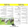White Gold Livestock Feed Supplement — Mineral and Vitamin Premix for Cattle, Dairy, Buffalo and Goats