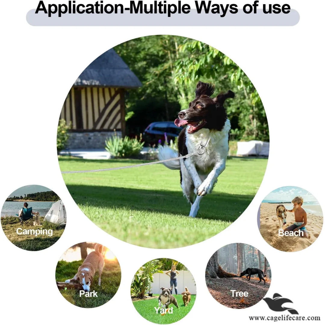 Wire Leash for Pets – Heavy Duty & Durable