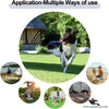 Wire Leash for Pets – Heavy Duty & Durable