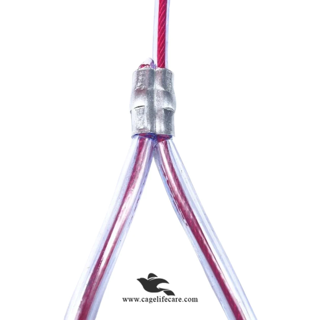 Wire Leash for Pets – Heavy Duty & Durable