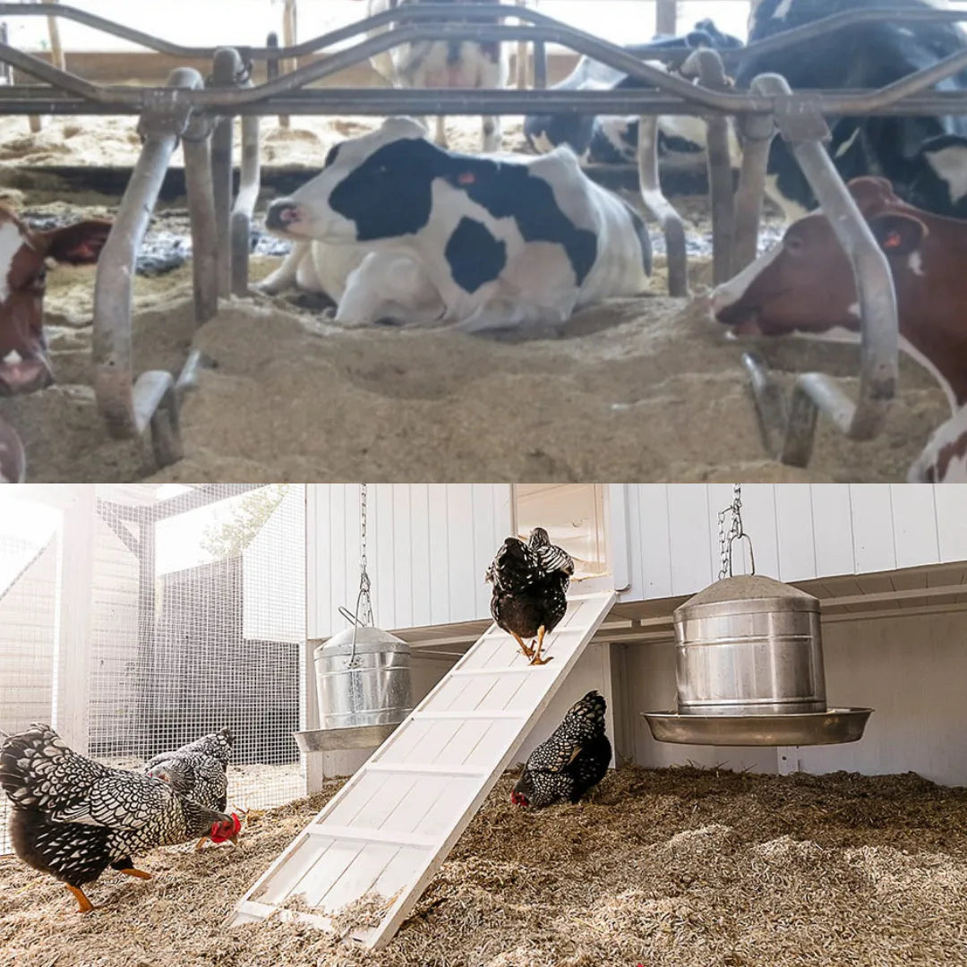 Bedding Pellets for Birds, Pets & Poultry - Dust-Free Wood Bedding Pellets