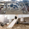 Bedding Pellets for Birds, Pets & Poultry - Dust-Free Wood Bedding Pellets