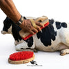 Wood Massage Handy Brush — Grooming Brush for Goats, Cattle, Cow & Horse
