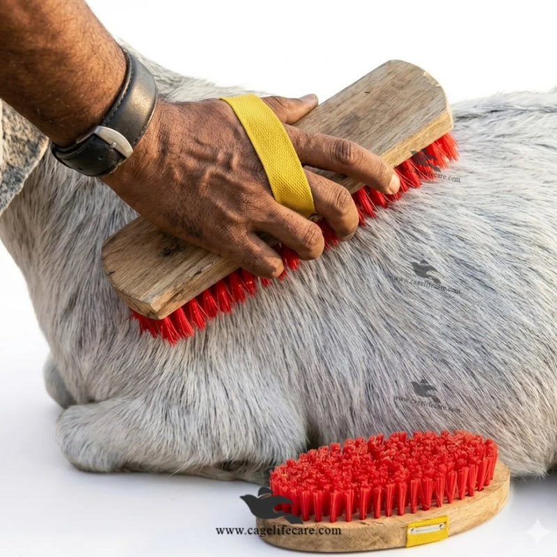 Wood Massage Handy Brush — Grooming Brush for Goats, Cattle, Cow & Horse