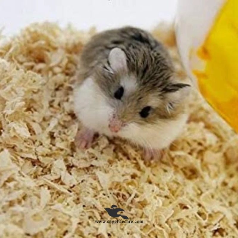 Wood Shaving for Birds Nesting & Pet Bedding
