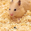 Wood Shaving for Birds Nesting & Pet Bedding