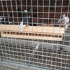 Wooden Feeding Tray - for Pigeons, Ground Birds and Poultry