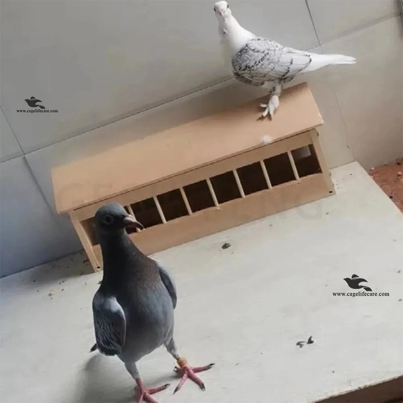 Wooden Feeding Tray - for Pigeons, Ground Birds and Poultry