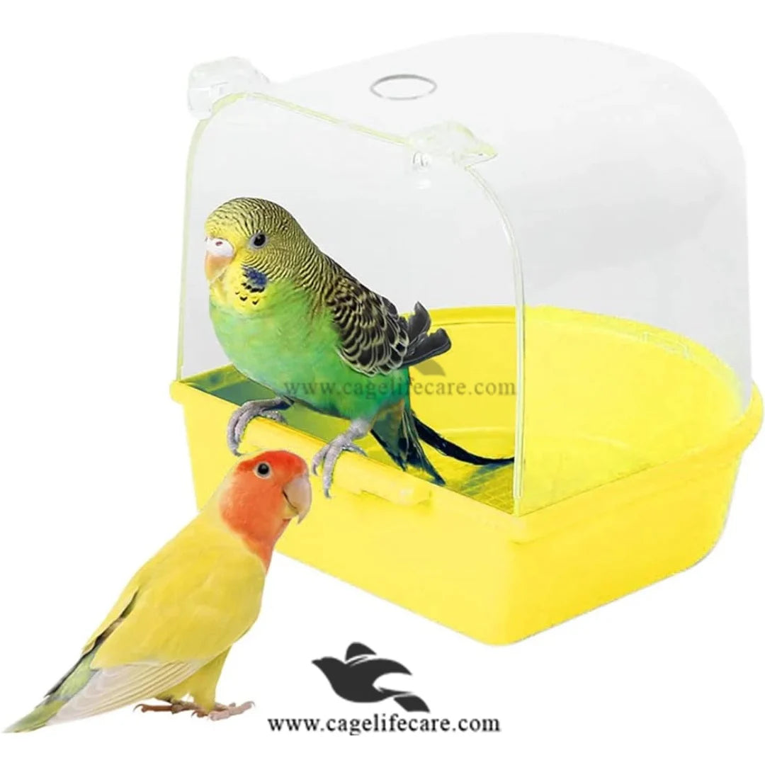 Bird Bath Tub 