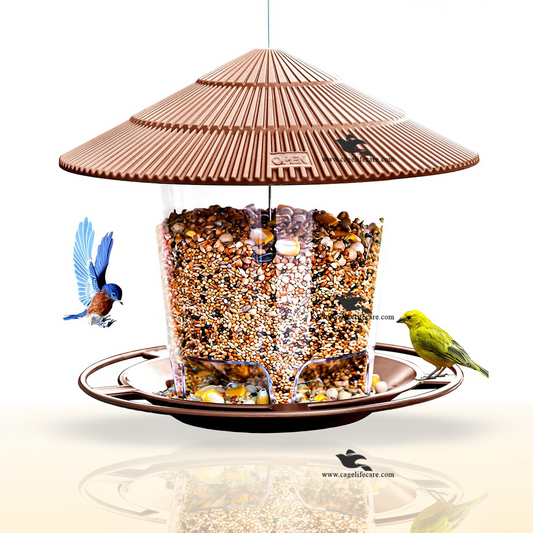 Wild Bird Hanging Feeder 