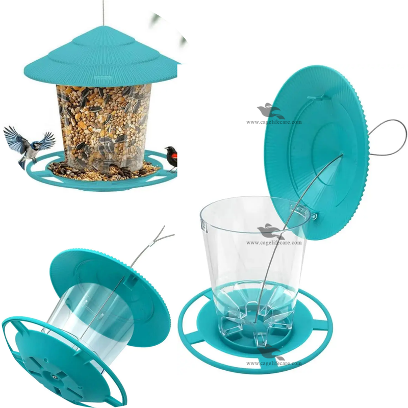 Bird Hanging Feeder – Squirrel-Proof Outdoor Feeder